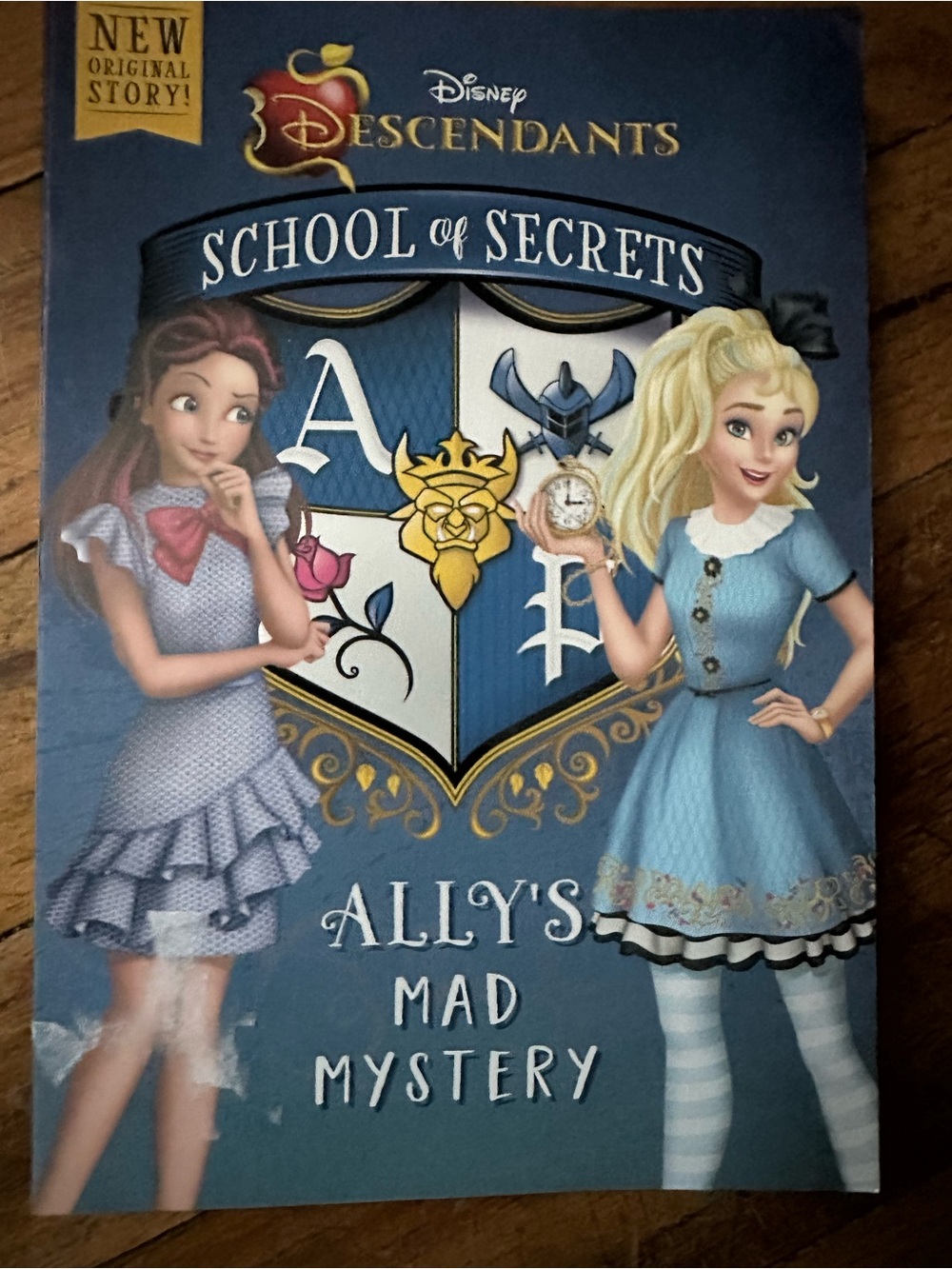 Disney Descendants School of Secrets Book - Blue Cover